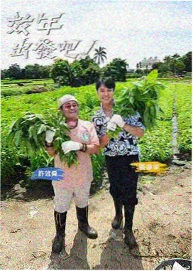 熊出没周边新品